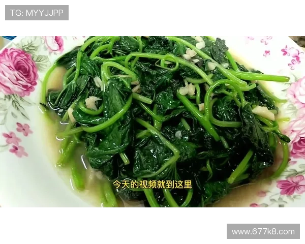 全面解析白菜资讯大全:种植技巧、营养价值与市场动态